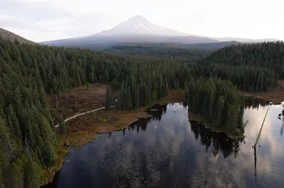Photo: U.S. Forest Service- Pacific Northwest Region / Public domain, via Wikimedia Commons