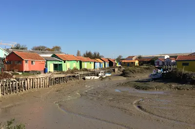 Photo: ERIC SALARD from Le Chateau d'Oleron, FRANCE / CC BY-SA 2.0, via Wikimedia Commons