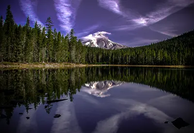 Photo: Forest Service / Public domain, via Wikimedia Commons