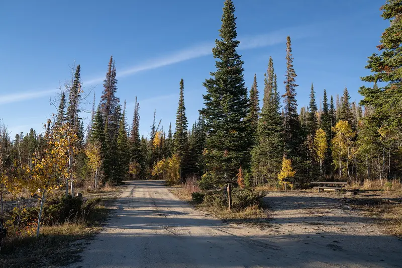 Photo: Tony Webster from Laramie, Wyoming, United States / CC BY-SA 2.0, via Wikimedia Commons Ryan Park Campground - Camping in the Medicine Bow National Forest - Autumn in Wyoming