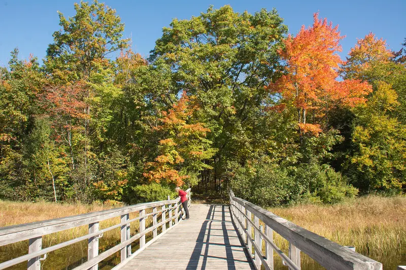 Photo: usfs_Eastern_Region / Public domain, via Wikimedia Commons