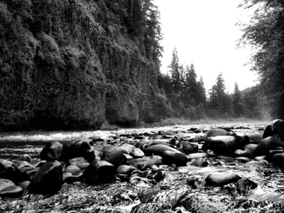 Photo: Bureau of Land Management Oregon and Washington from Portland, America / Public domain, via Wikimedia Commons