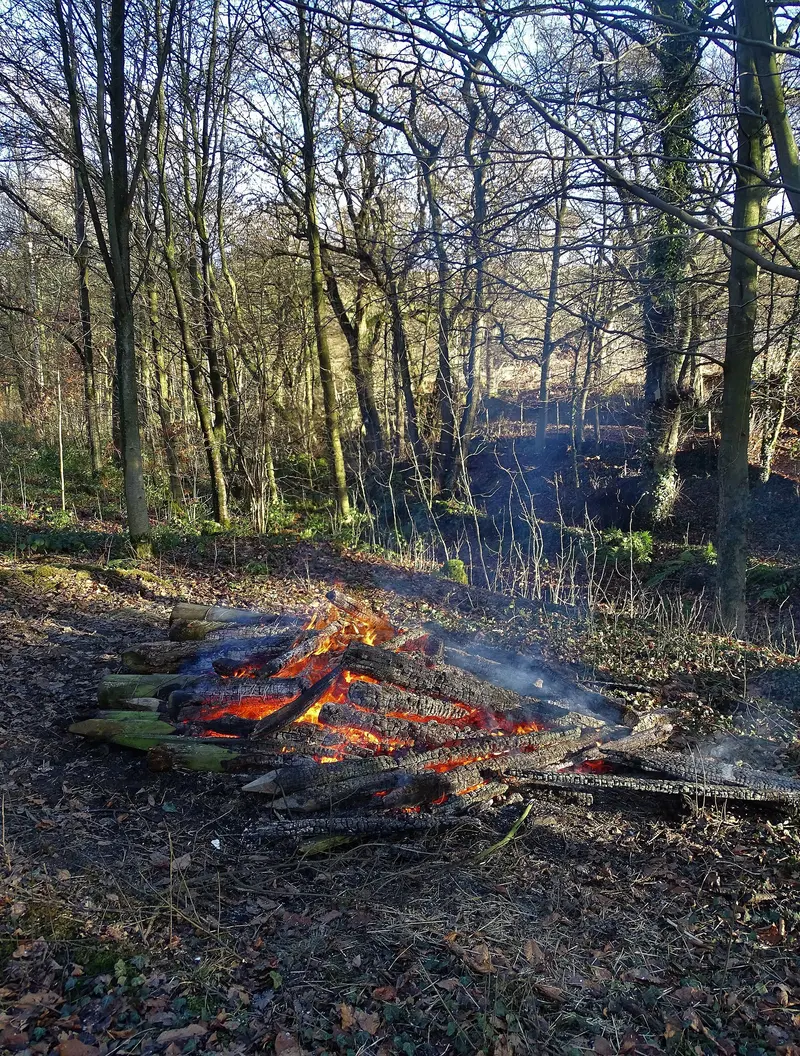 Fire in the woods at North Lees campsite
