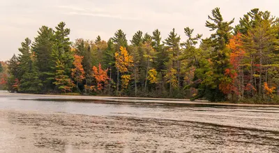 Photo: usfs_Eastern_Region / Public domain, via Wikimedia Commons
