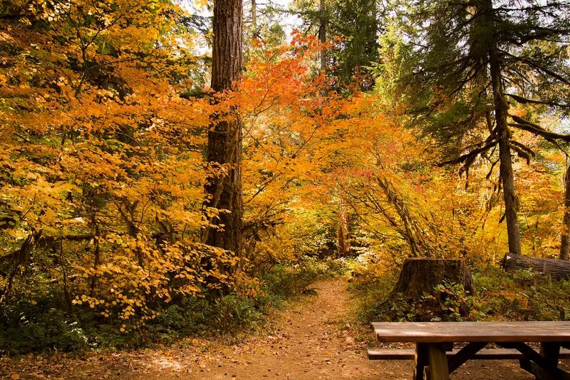 Paradise Campground