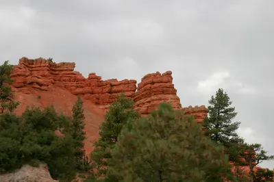 Photo: Greg Willis from Denver, CO, usa / CC BY-SA 2.0, via Wikimedia Commons