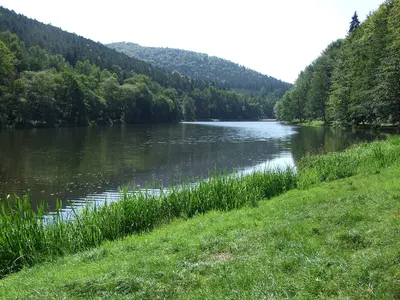 Photo: Oledd / CC BY-SA 4.0, via Wikimedia Commons