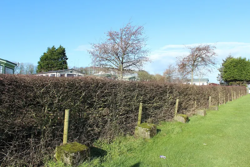 Wig Bay Holiday Park