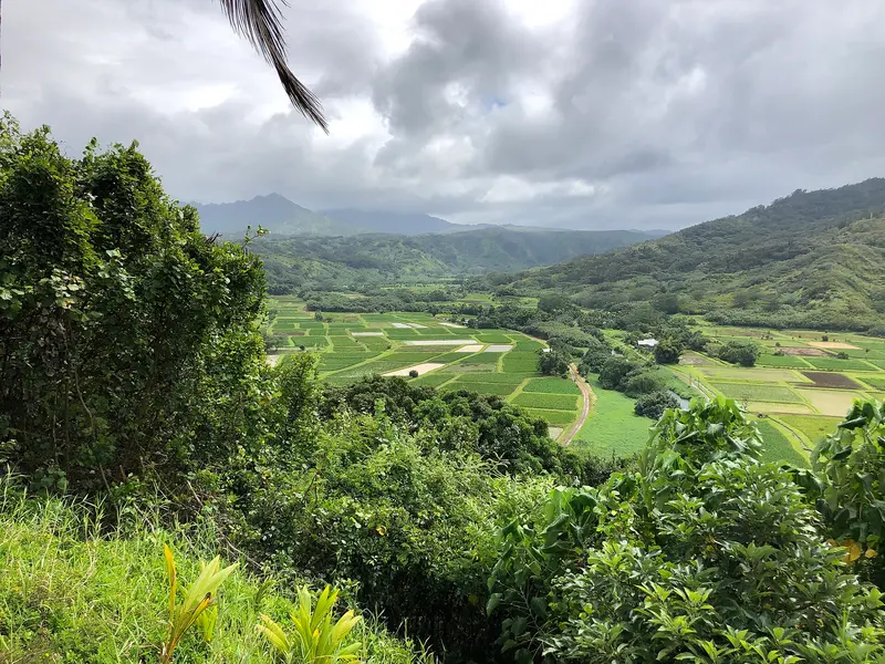 13 27 10 View south-southeast from the Hanalei Valley Lookout in Princeville, Kauai, Hawaii