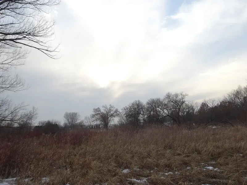 Token Creek County Park