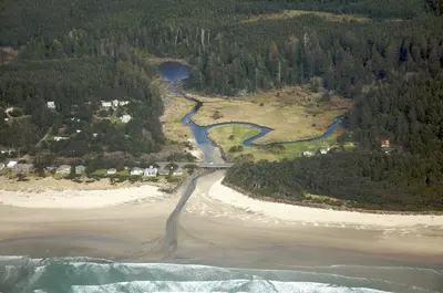 Photo: Sam Beebe, Ecotrust / CC BY 2.0, via Wikimedia Commons
