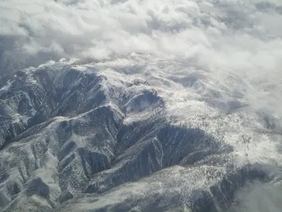 Photo: Jacob Montgomery / CC BY-SA 3.0, via Wikimedia Commons