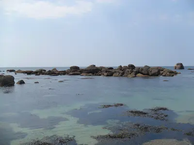 Photo: Mouh2jijel / CC BY-SA 3.0, via Wikimedia Commons