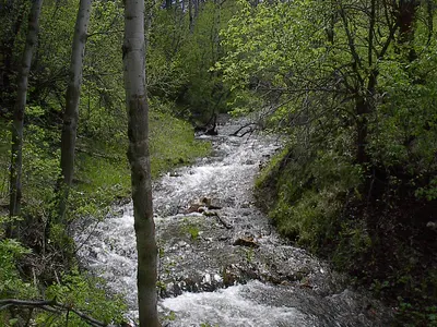 Photo: JF Hobbs / CC BY 3.0, via Wikimedia Commons