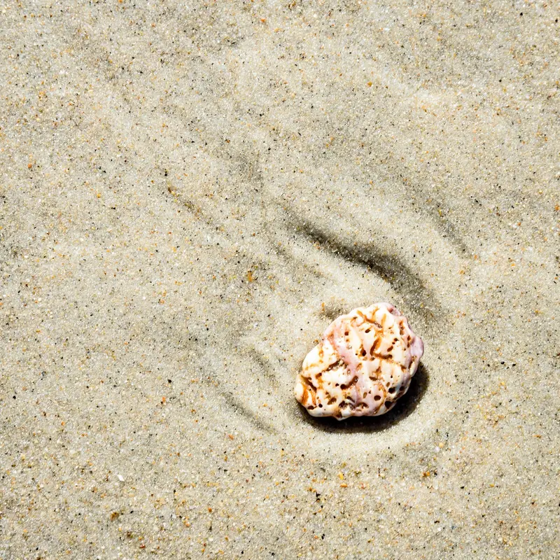 Beached