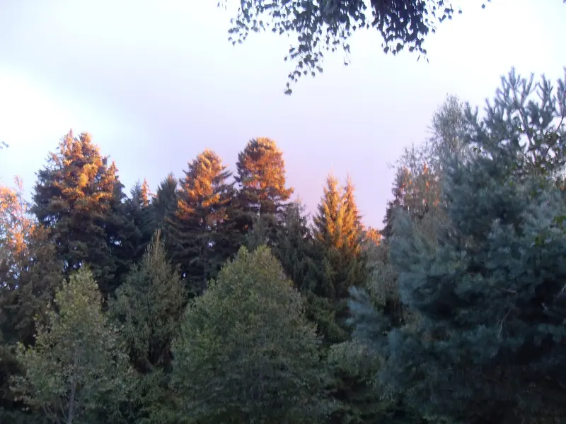 Camping la Steniole