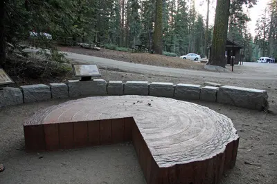 Tuolumne Grove Trailhead, near Tuolumne City