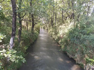 Photo: Amélixa / CC BY-SA 4.0, via Wikimedia Commons