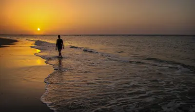 Sensuous, near Seabrook Island