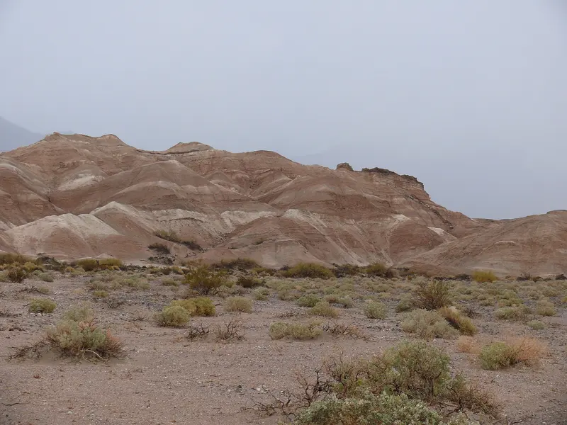 Photo: Bill Ward from El Cerrito, CA, USA / CC BY 2.0, via Wikimedia Commons Death Valley 2010 Mesquite Spring Campground