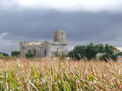 Photo: Mutichou / CC BY-SA 3.0, via Wikimedia Commons