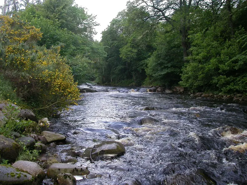 River Glass, Evanton, about 0.1 km from Black Rock Holiday Park