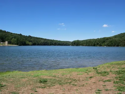 Photo: Roseohioresident / Public domain, via Wikimedia Commons