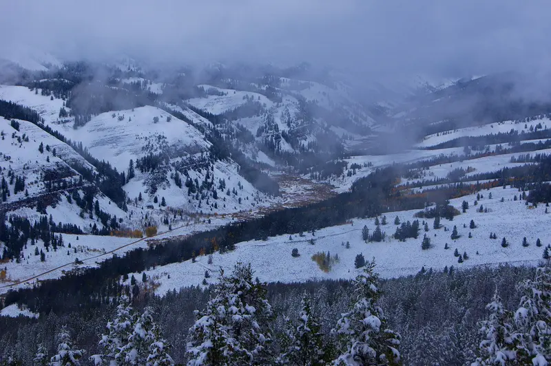 Photo: Intermountain Region US Forest Service / Public domain, via Wikimedia Commons