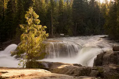 Photo: U.S. Forest Service- Pacific Northwest Region / Public domain, via Wikimedia Commons
