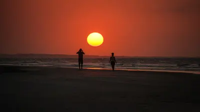 Early Risers, near Seabrook Island