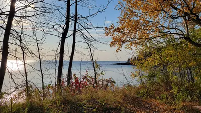 Photo: usfs_Eastern_Region / Public domain, via Wikimedia Commons