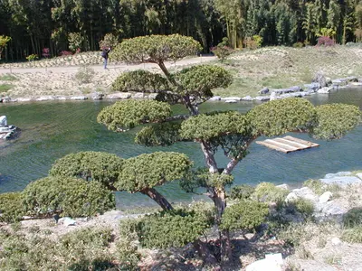 Photo: Semnoz / CC BY-SA 3.0, via Wikimedia Commons