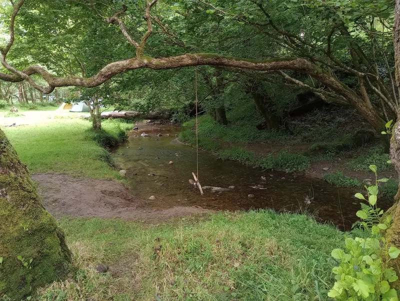 Small stream, Red Squirrel campsite