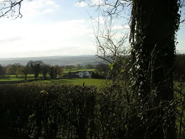 Red Lion View, Romsley
