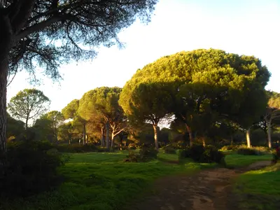 Photo: Ape straniera / CC BY-SA 4.0, via Wikimedia Commons